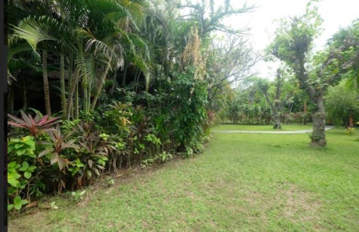 Apel Homestay Pemuteran  Exterior photo