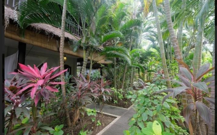 Apel Homestay Pemuteran  Exterior photo