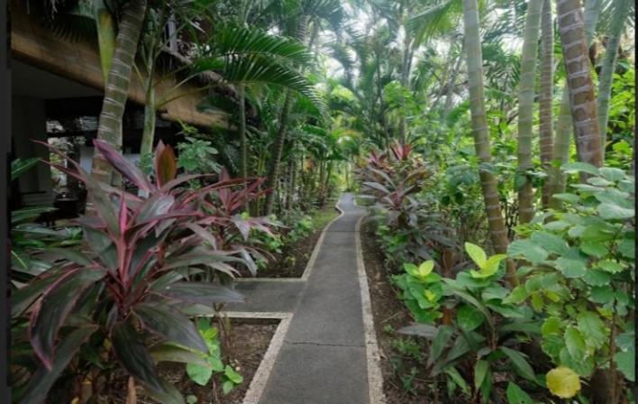 Apel Homestay Pemuteran  Exterior photo